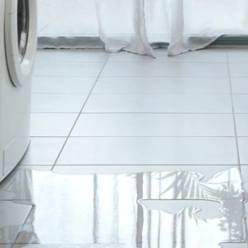 Appliance Leak Cleanup in Hamilton County, IL