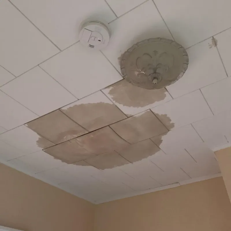 Ceiling Water Damage Repair in Hamilton County, IL