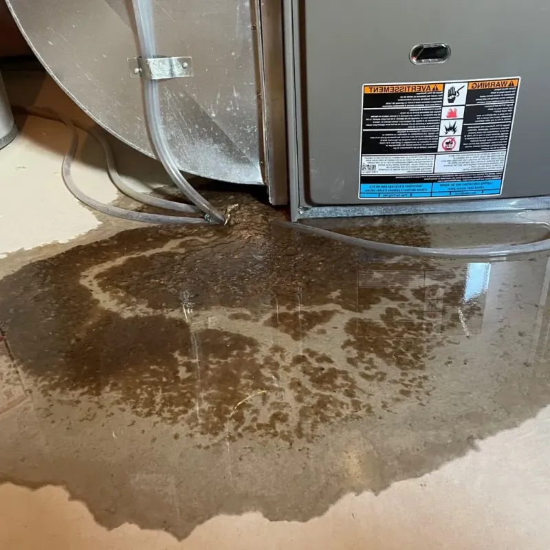 Pipe Burst and Leak Restoration in Hamilton County, IL