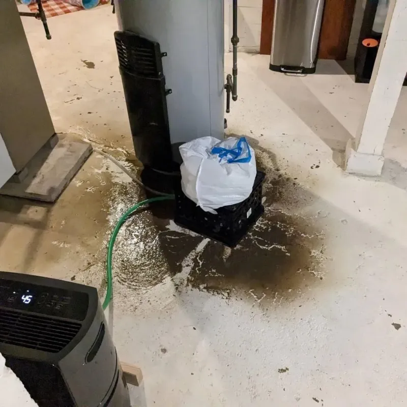 Sewage Backup Cleanup Service in Hamilton County, IL